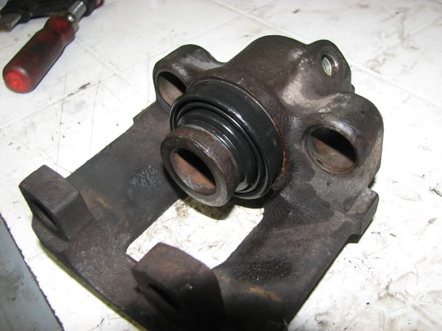 IMG 3799.jpg