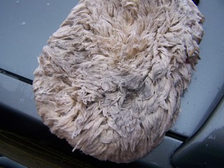 Carwasharticle015.jpg