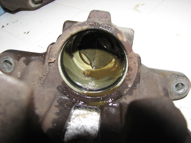 IMG 3792.jpg