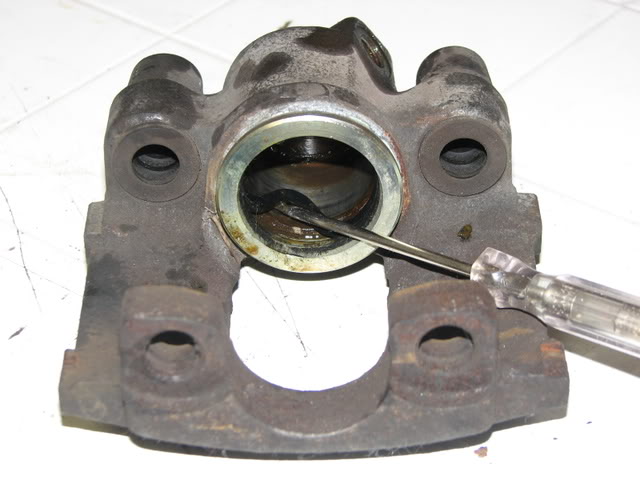 IMG 3789.jpg