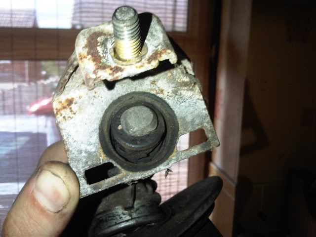 IMG00227-20110527-1414.jpg