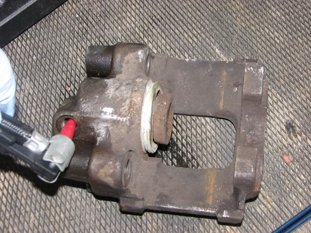 IMG 3787.jpg