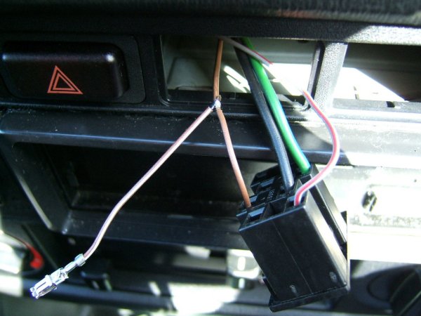 Img7.jpg