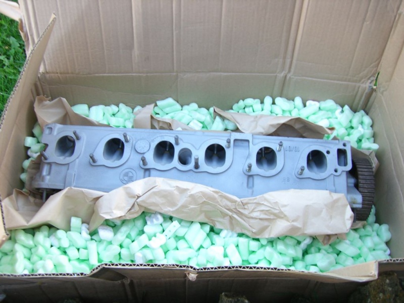 File:NewHead.jpg
