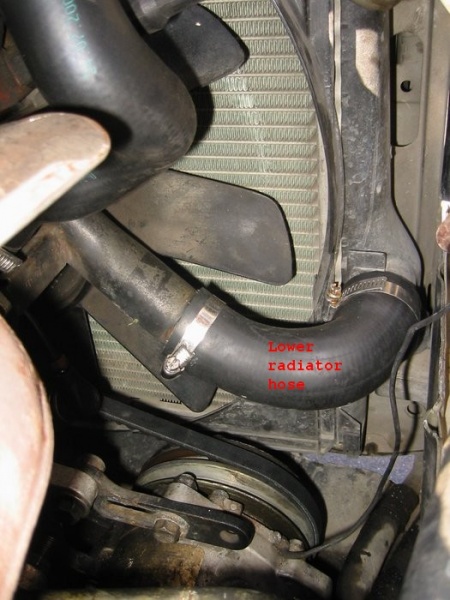 File:M20TimingBeltChange3.jpg