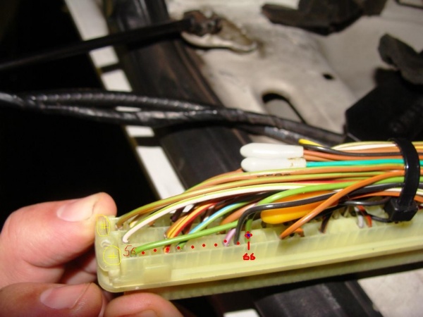 Ecu harness.jpg