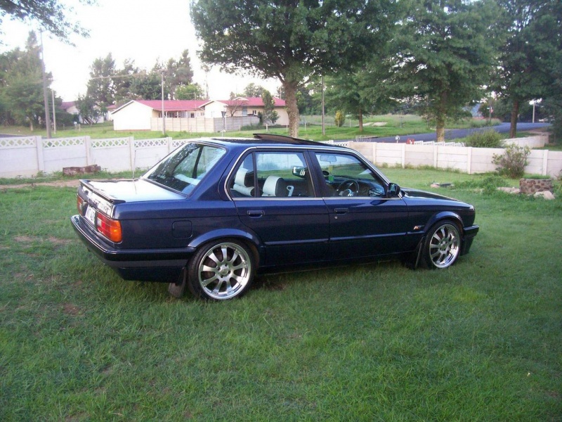 File:E9a29dd2b7.jpg