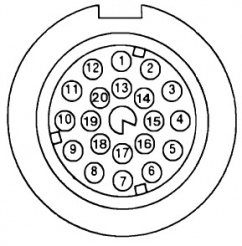 41970517.jpg