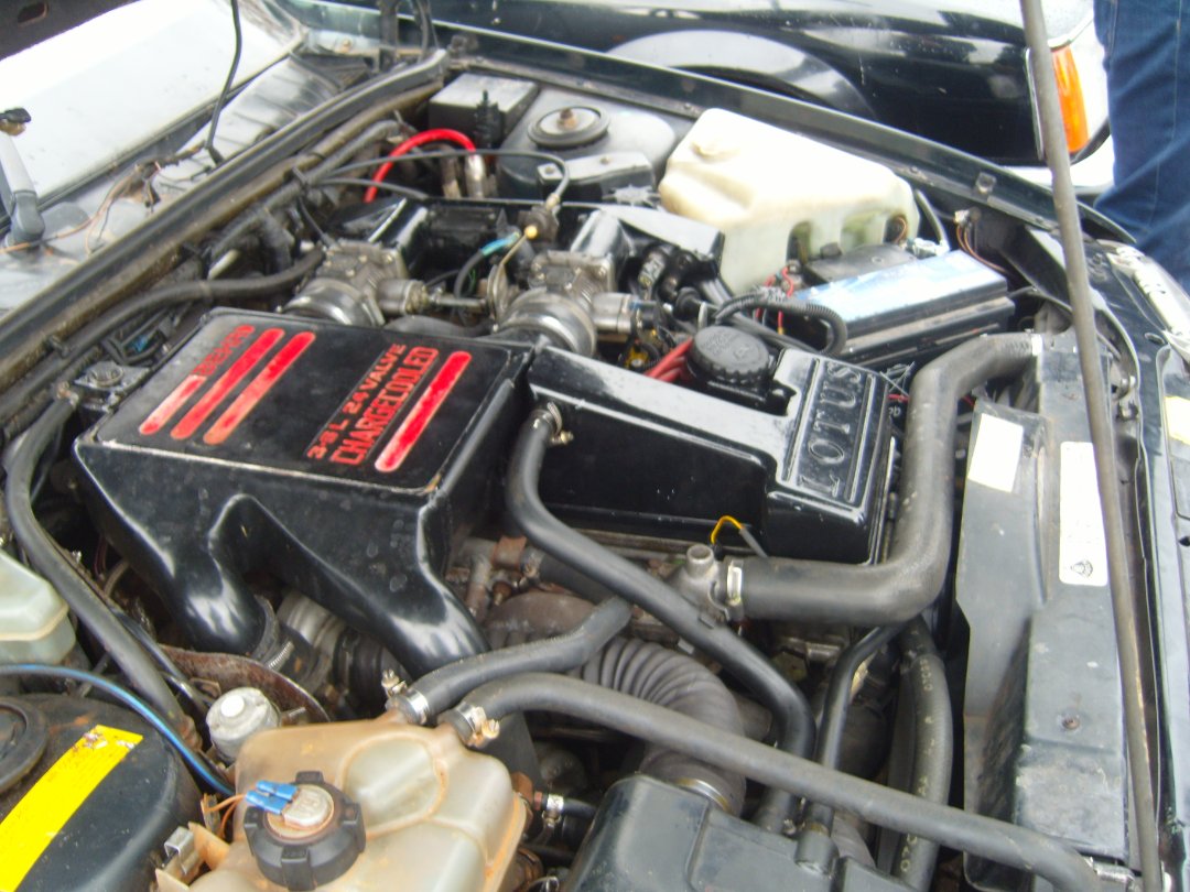 S1034722.JPG