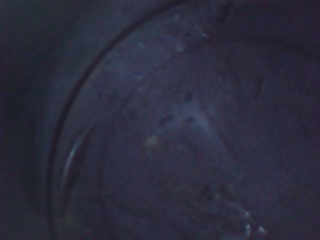 074F8595-F002-4EC8-9F47-F050D760EBBA.jpeg