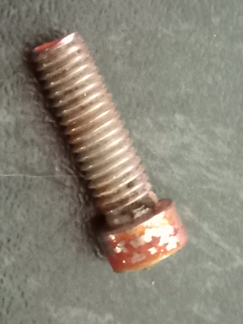 screw 1.jpg