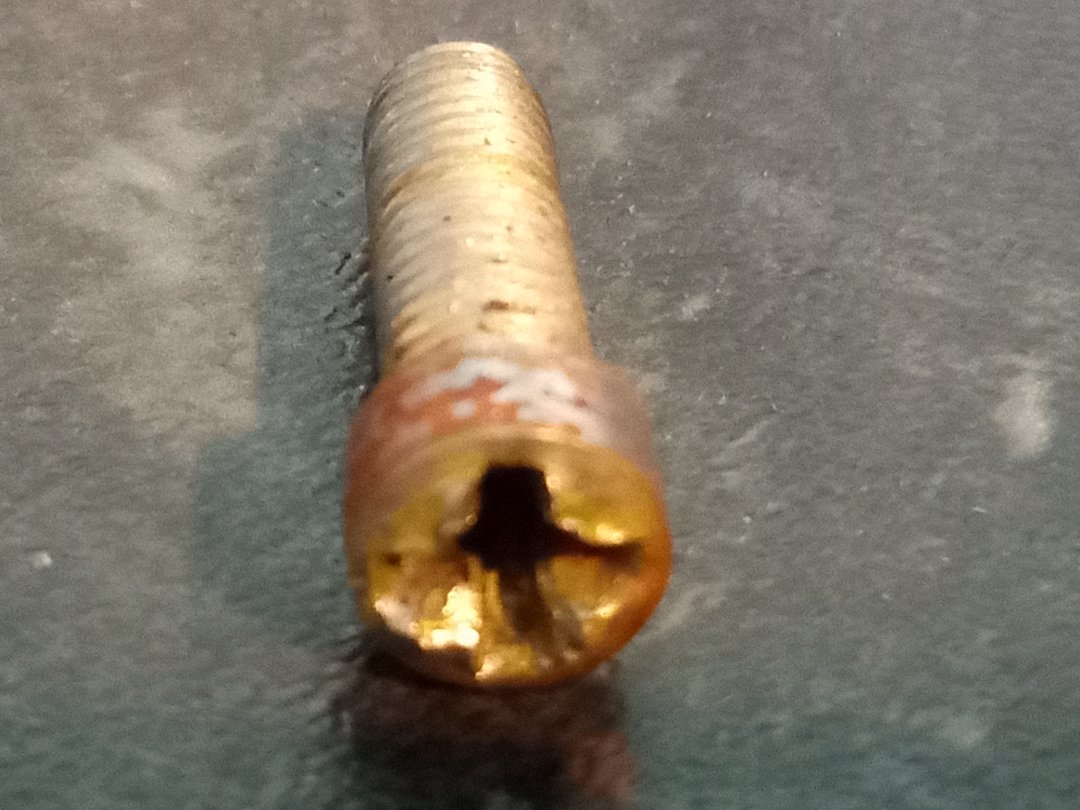 screw 2.jpg