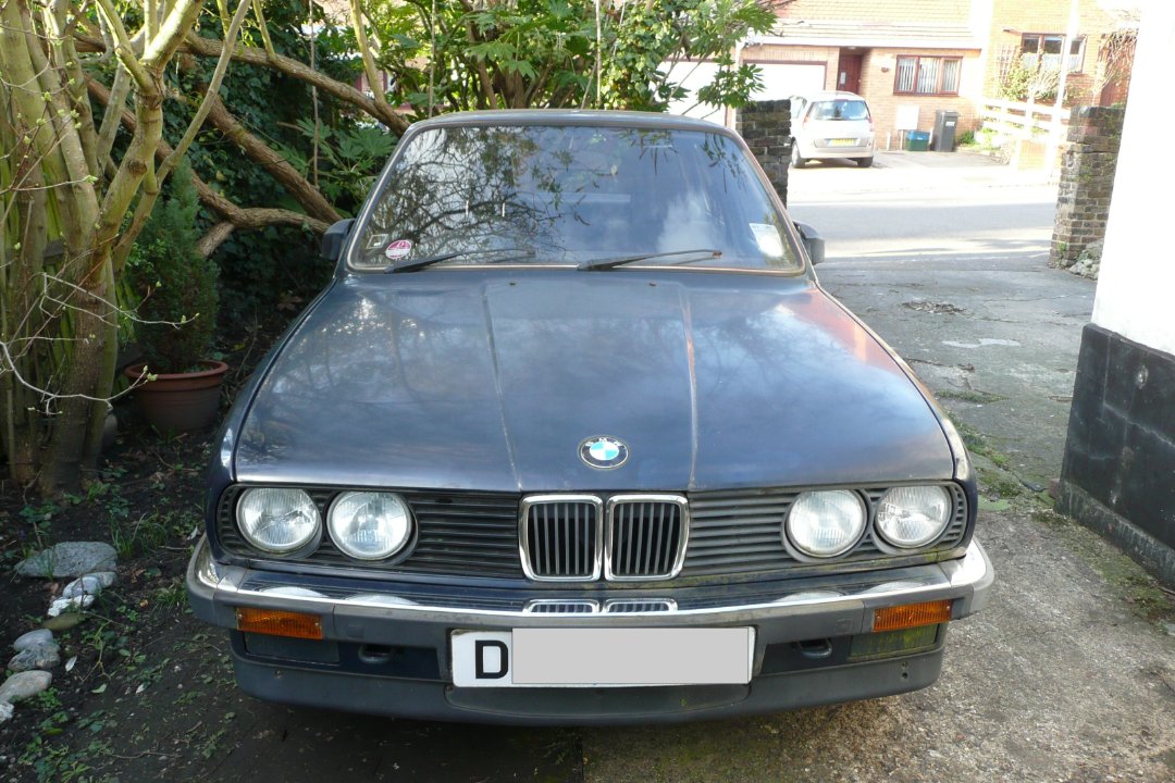 Copy of P1020078.JPG