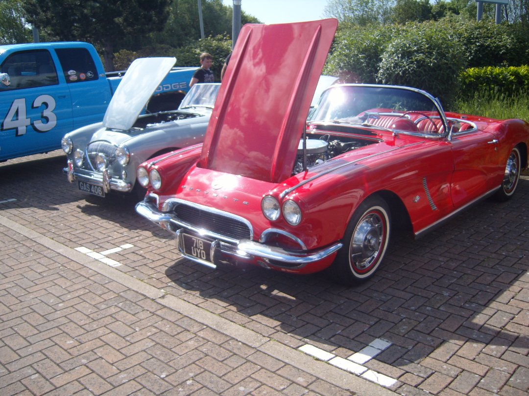 S1034852.JPG