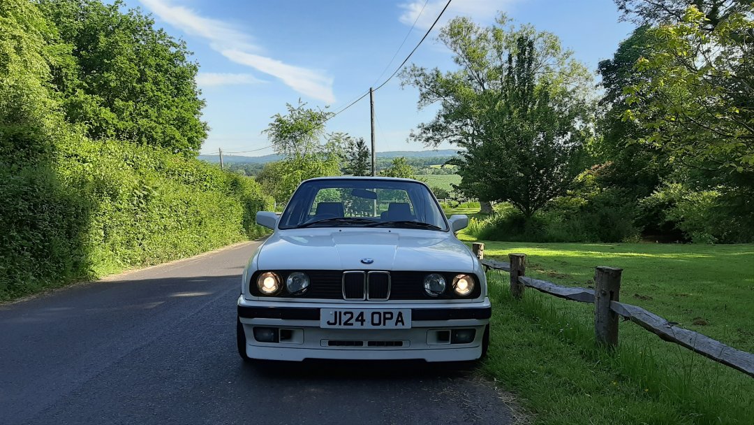 20190601_090214.jpg