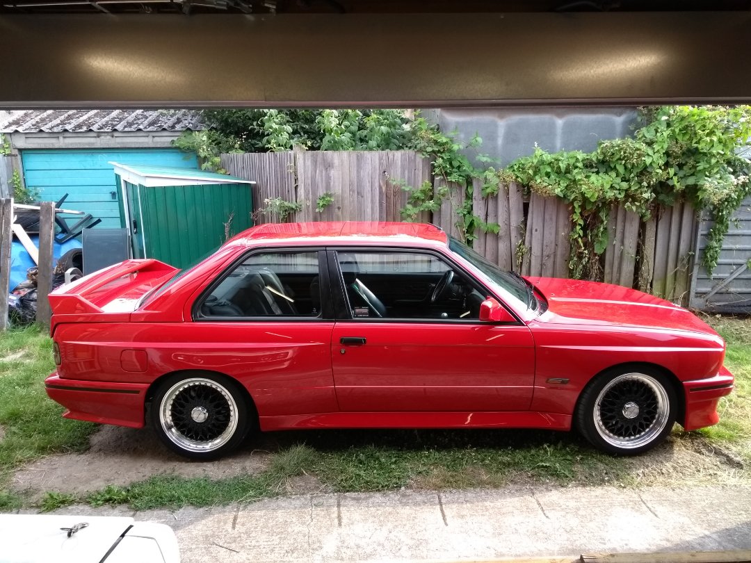 Red Baron Profile 1.jpg