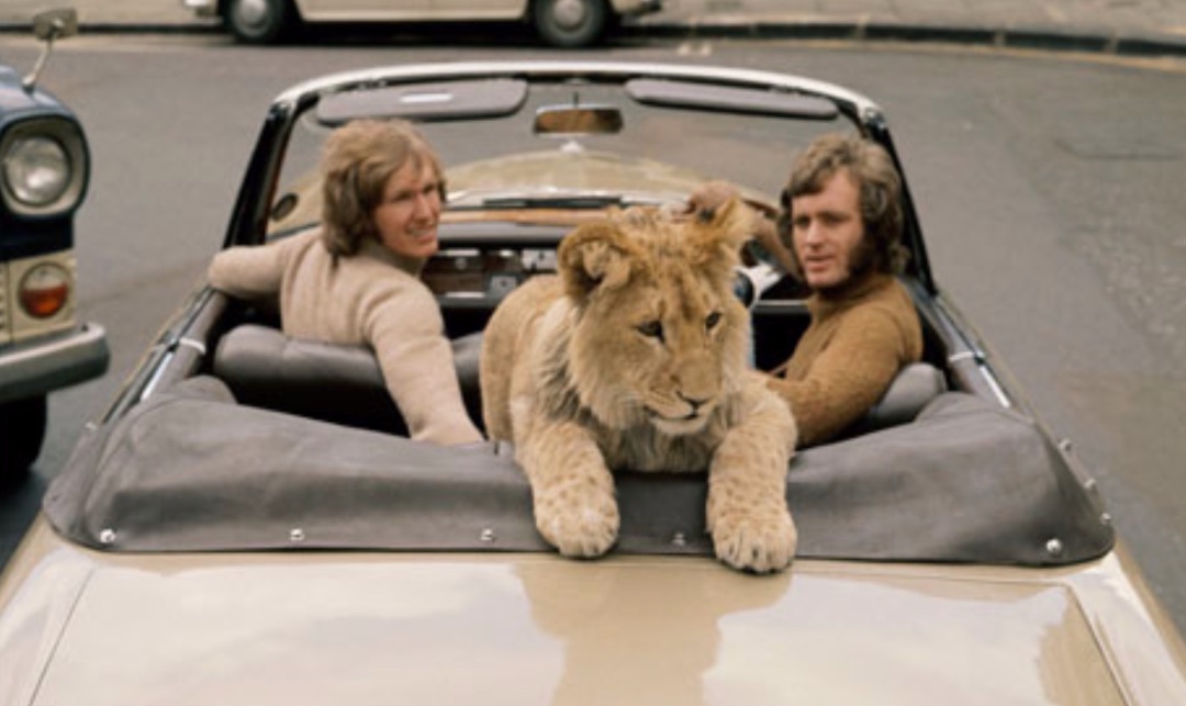 Screenshot 2019-12-15 at 23.51.44.jpg