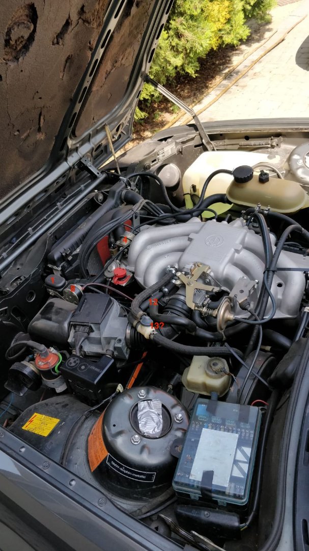 WhatsApp Image 2020-07-09 at 17.54.31.jpeg