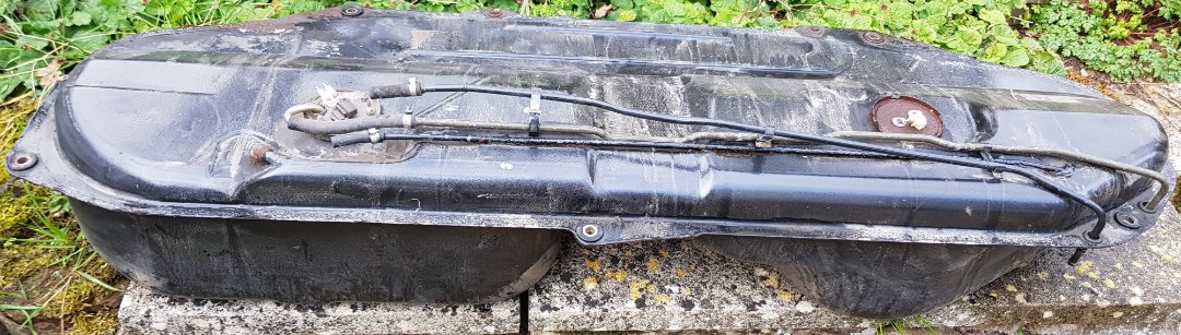 20181031_140851 crop.jpg