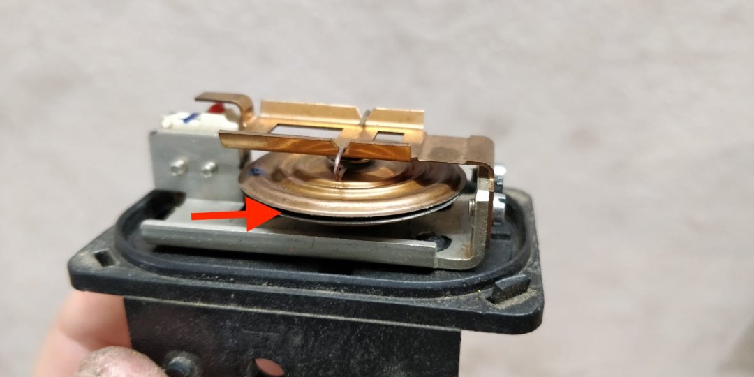 WhatsApp Image 2020-09-03 at 09.42.23.jpeg