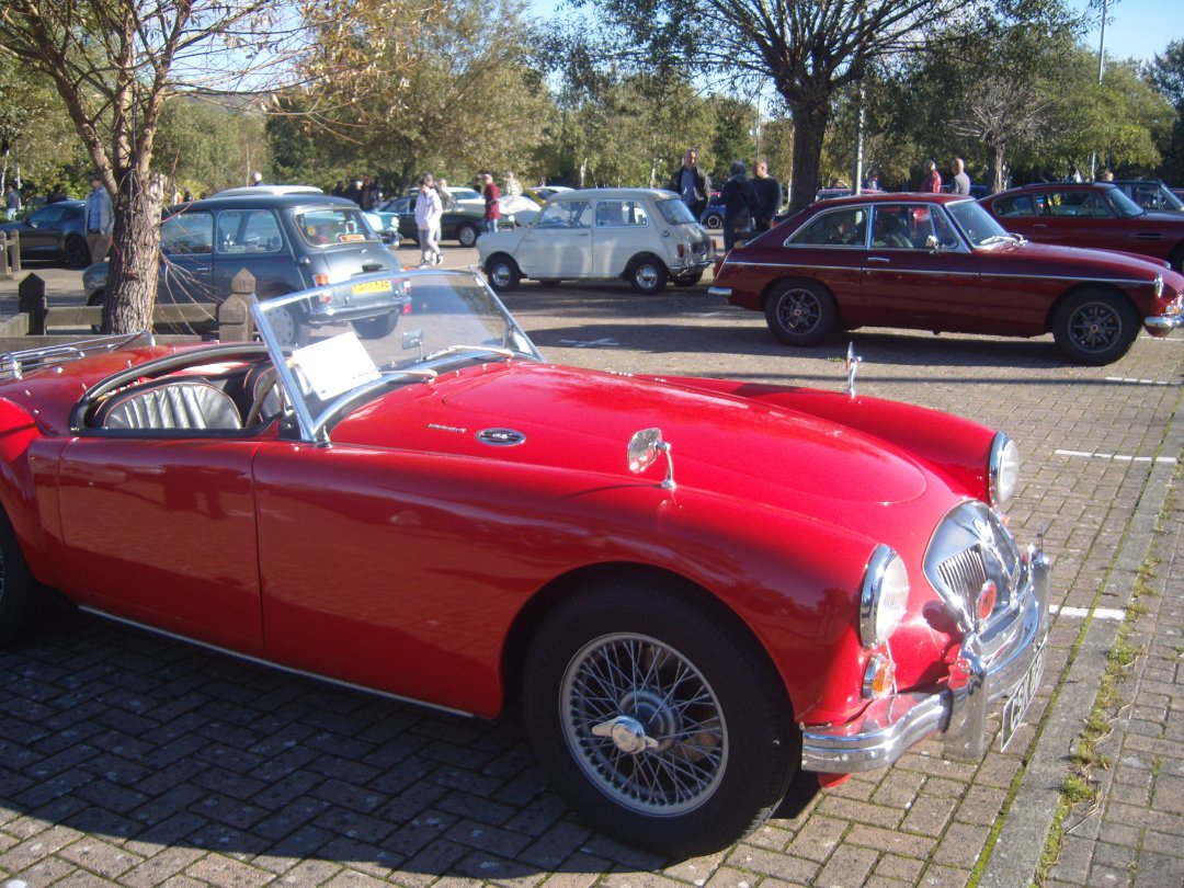 S1035425.JPG