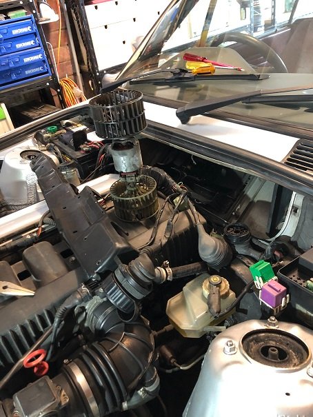 Photo 14-10-20, 5 12 14 pm.jpg